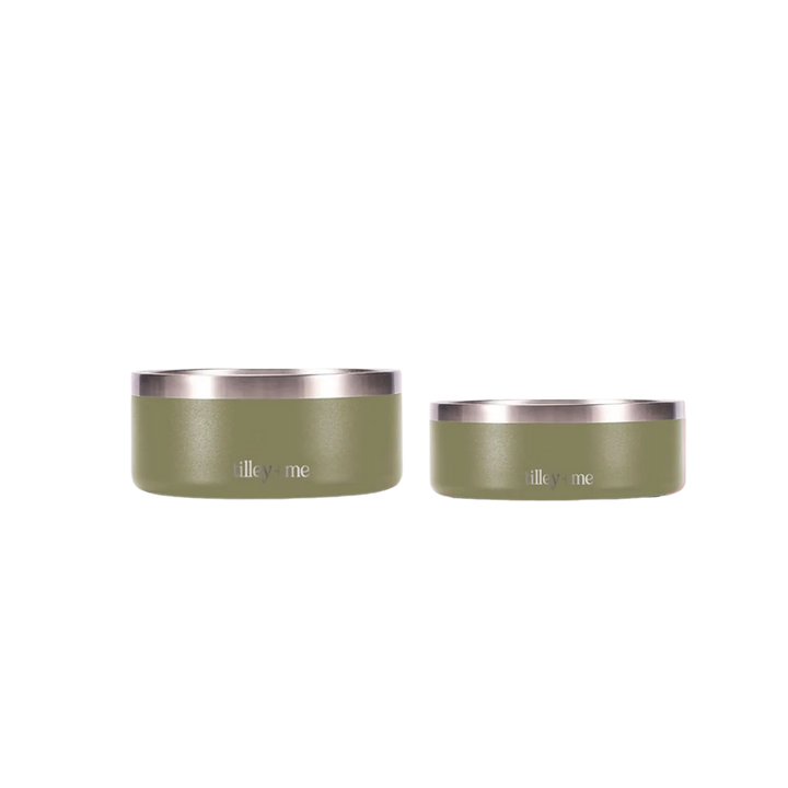 Stainless Steel Pet Bowl Set