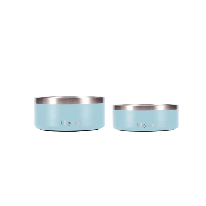 Stainless Steel Pet Bowl Set