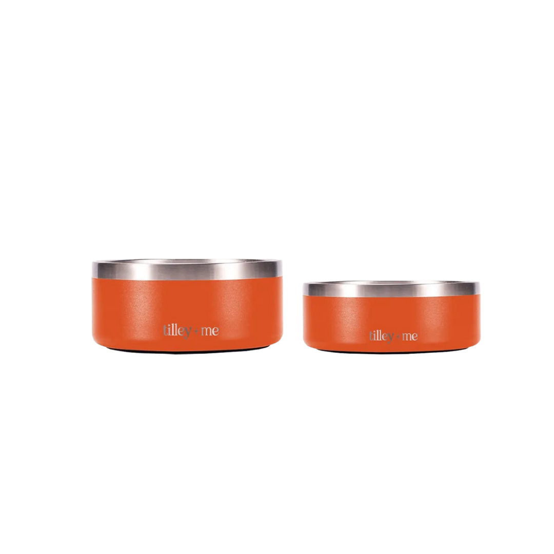 Stainless Steel Pet Bowl Set