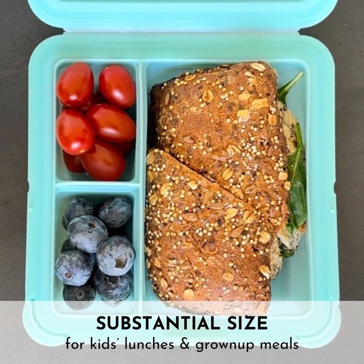 BPA-Free Silicone Bento Food Storage Container, 7"
