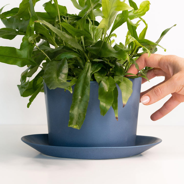 Handcrafted Porcelain Oval Planter with Drainage Tray