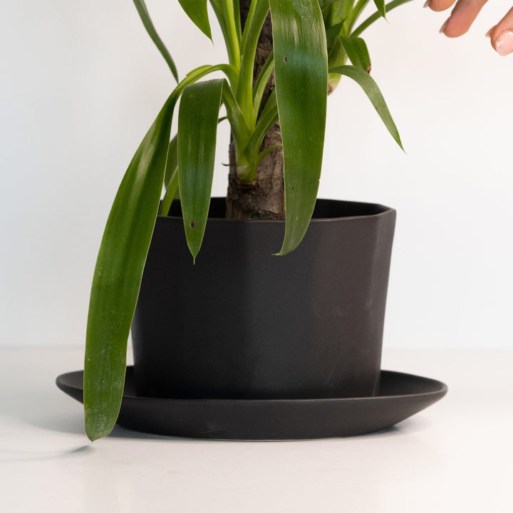 Handcrafted Porcelain Oval Planter with Drainage Tray