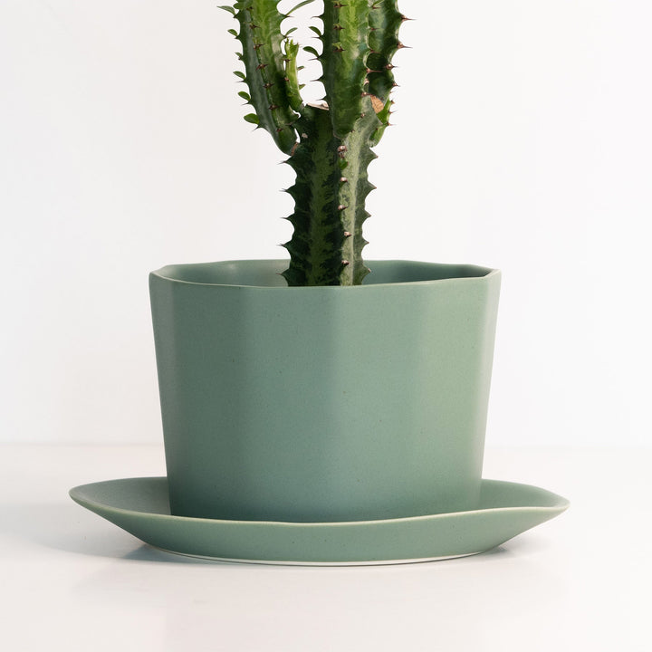 Handcrafted Porcelain Oval Planter with Drainage Tray
