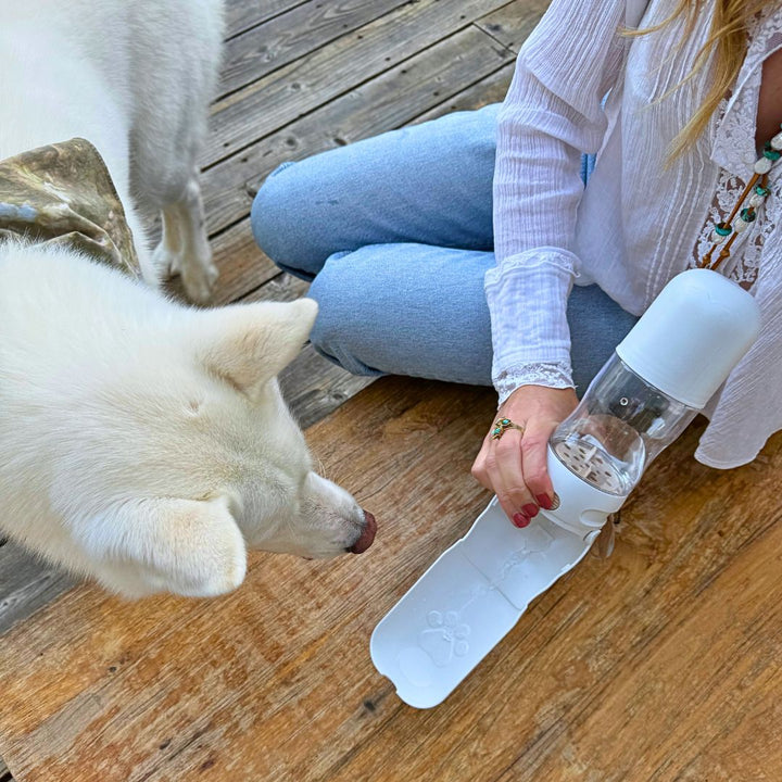 BPA-Free Dog Travel Bottle &amp; Treat Holder, 12 oz.