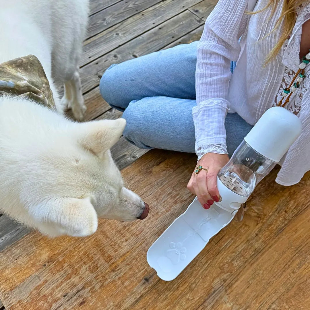 Trekk Dog Water Bottle 350ml