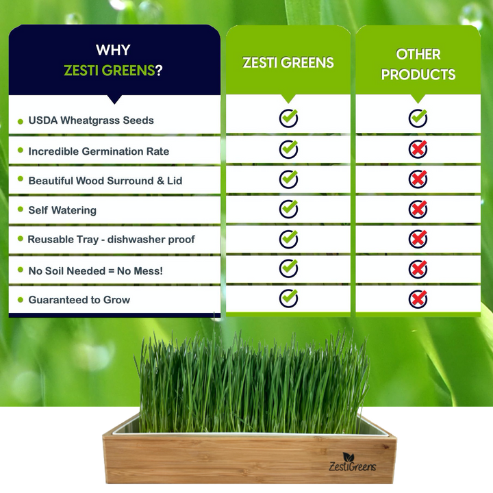 Organic Self-Watering Home Sprouting Growing Kit