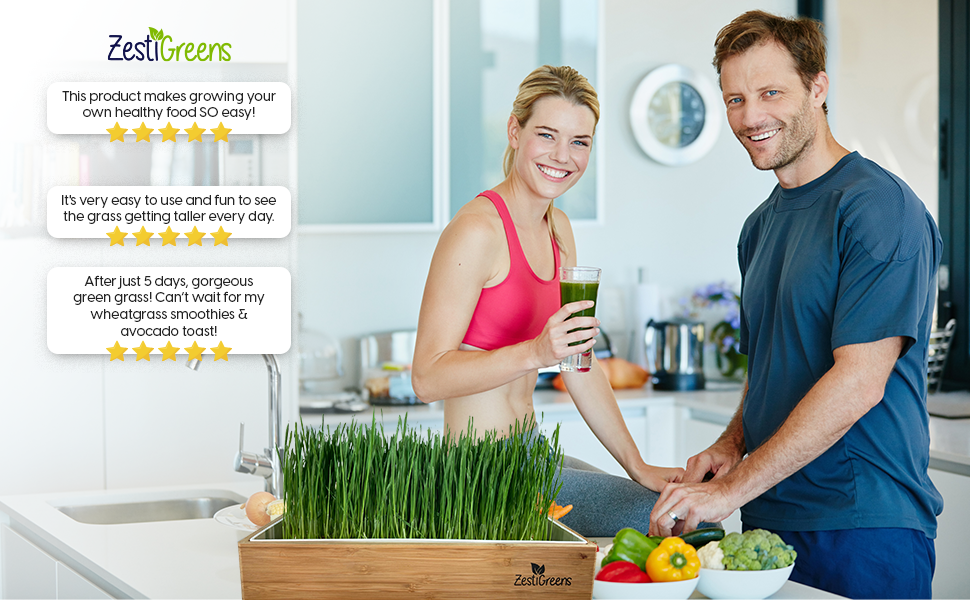 Organic Self-Watering Home Sprouting Growing Kit