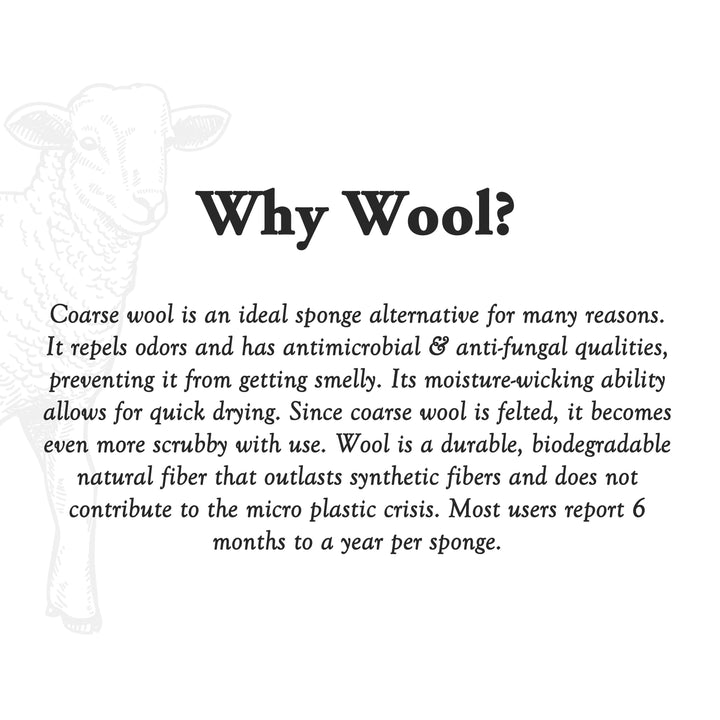Text explaining the benefits of using wool as a sponge alternative on a white background