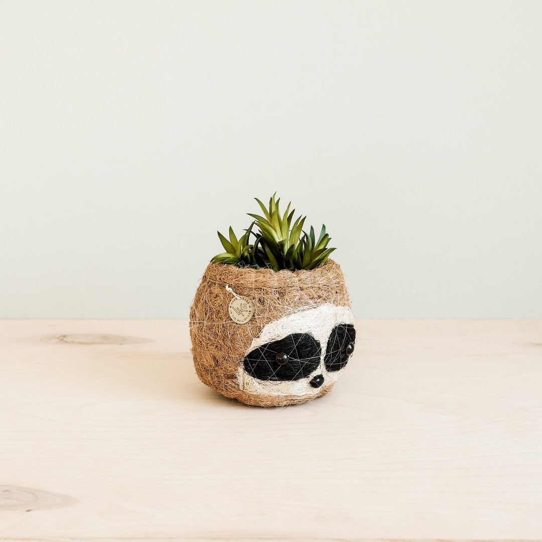 Handcrafted Coco Coir Sloth Planter, Natural