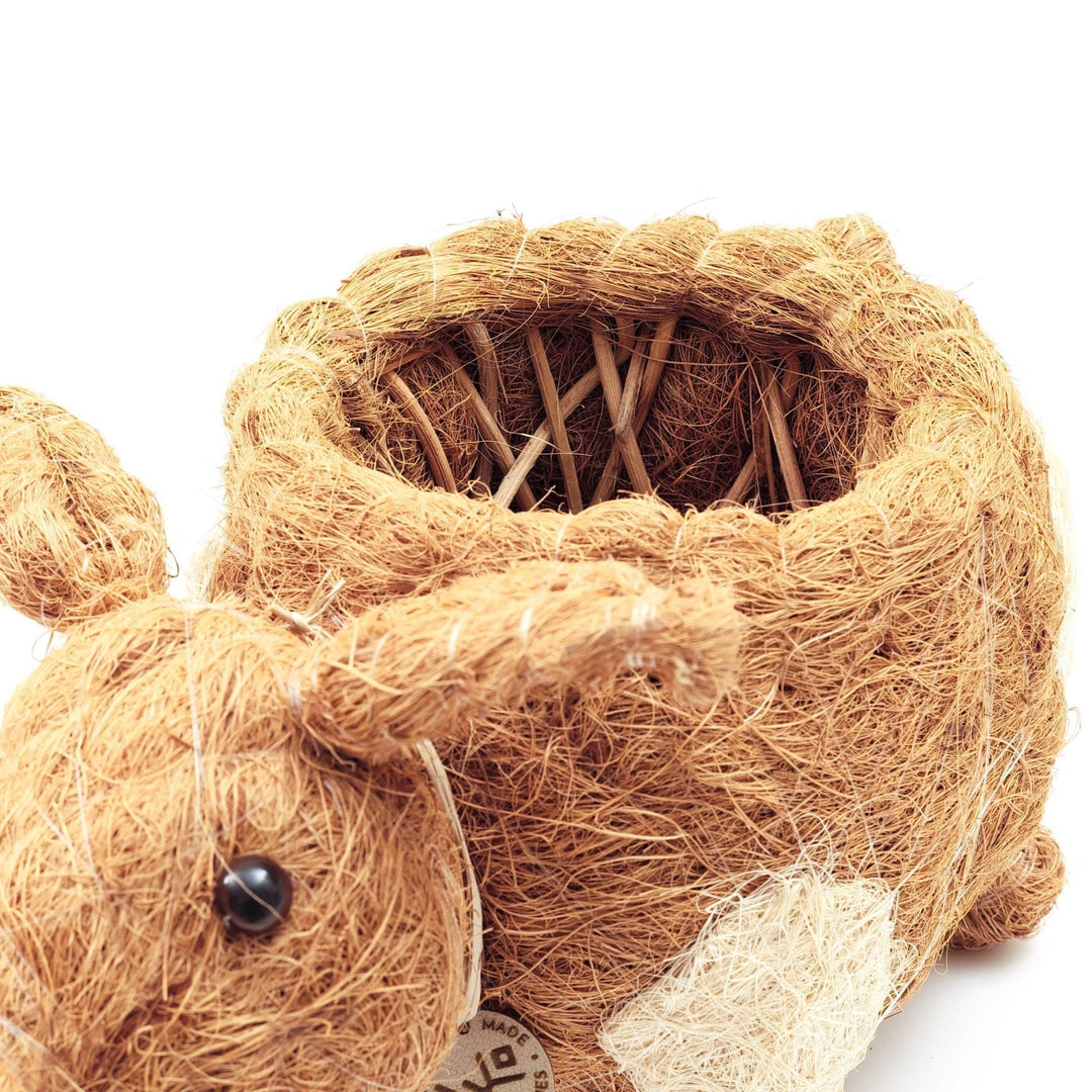 Handcrafted Coco Coir Pig Planter, Natural