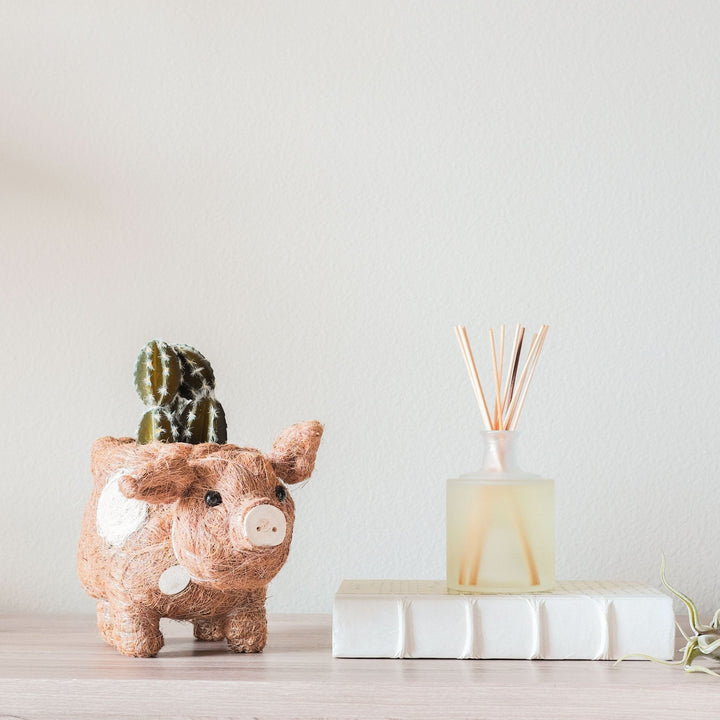 Handcrafted Coco Coir Pig Planter, Natural
