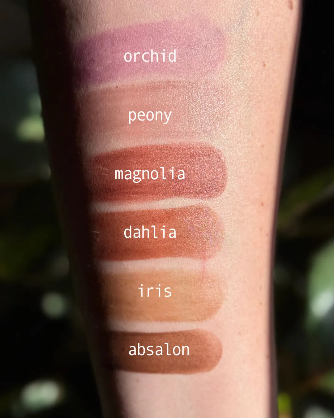 Tallow Lip &amp; Cheek Tint