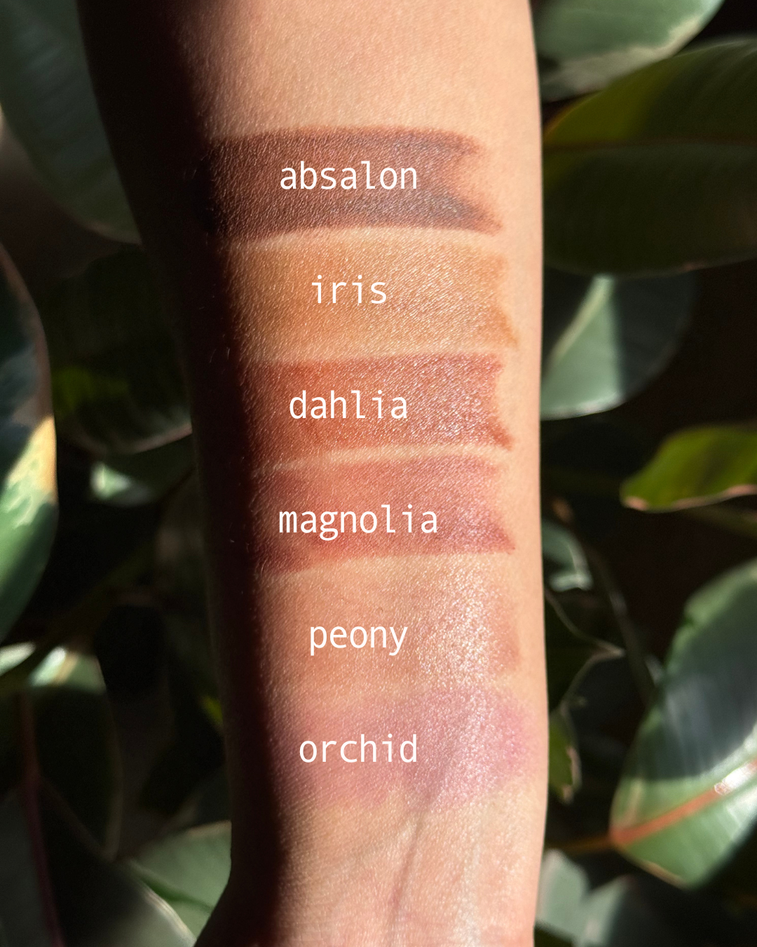 Handcrafted Tallow Lip &amp; Cheek Tint, Buildable Color