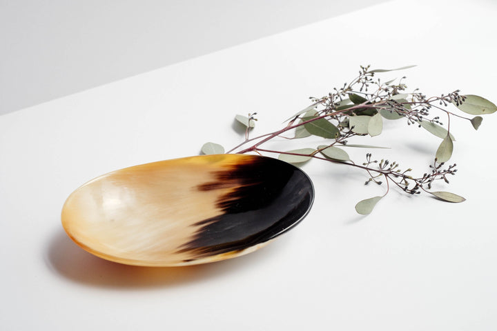 Handcrafted Horn Catch-All Dish, 6.25"