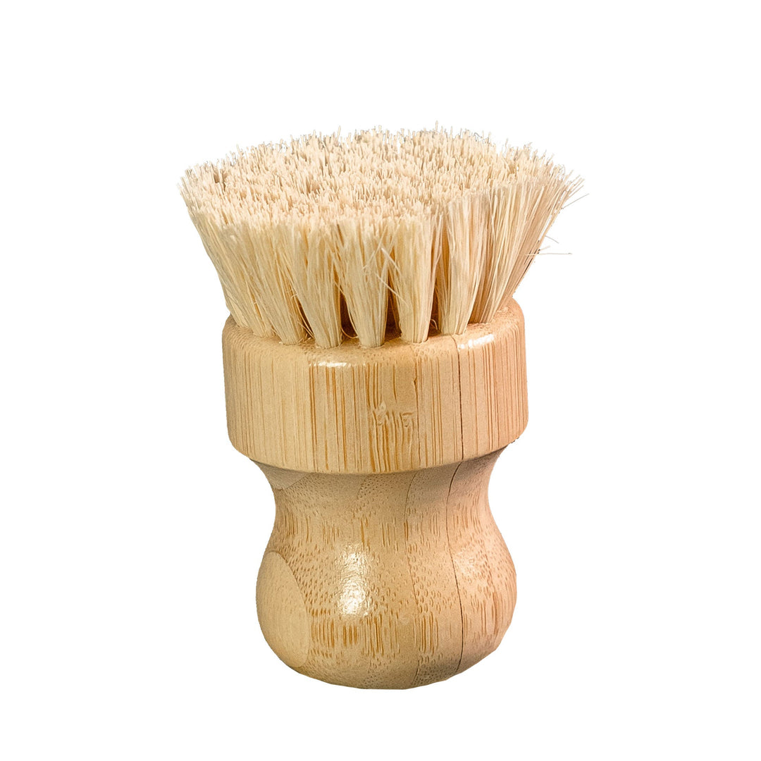 Compostable Sisal &amp; Bamboo Dish Brush, 3.15" x 1.7"