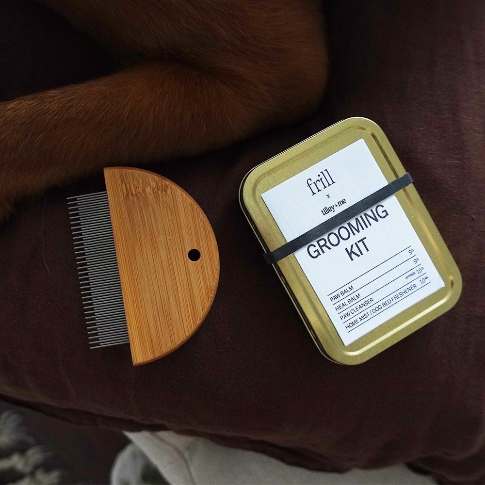Biodegradable Bamboo Pet Flea &amp; Detangling Comb