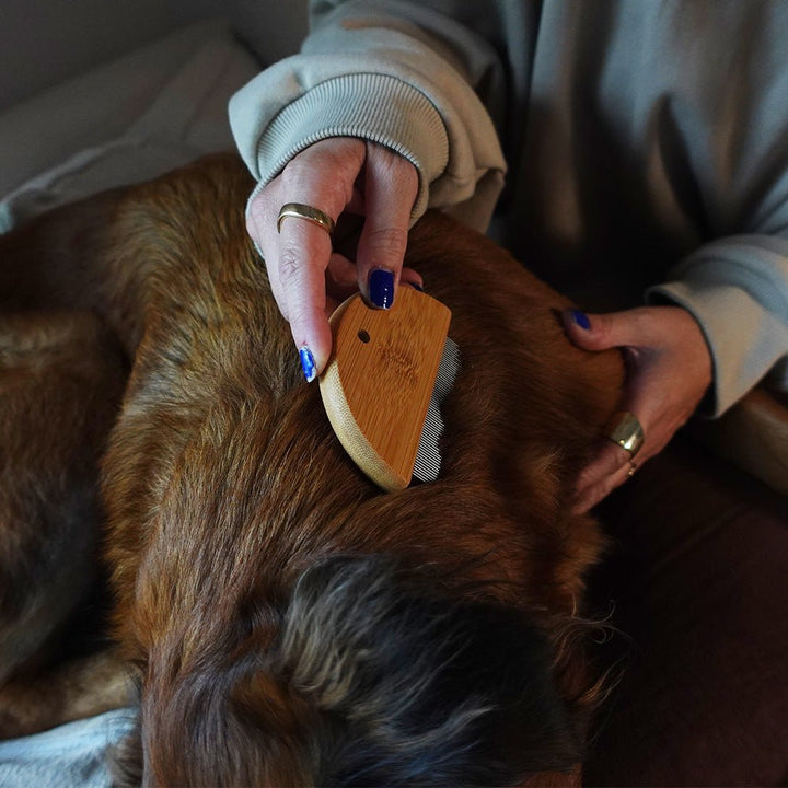 Biodegradable Bamboo Pet Flea &amp; Detangling Comb