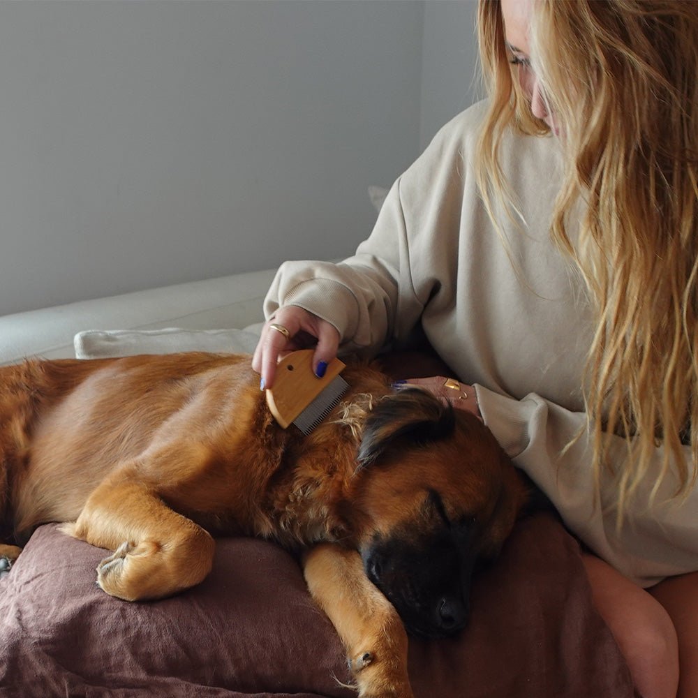 Biodegradable Bamboo Pet Flea &amp; Detangling Comb