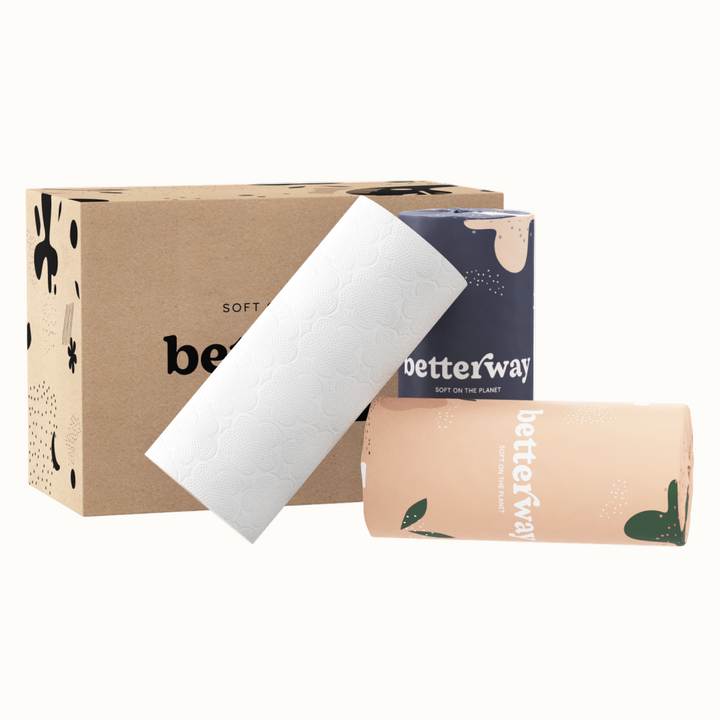 Compostable Bamboo 2-Ply Paper Towels, 6 Ct.