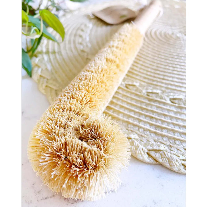 Biodegradable Coconut Fiber Bottle Brush, 11.5"