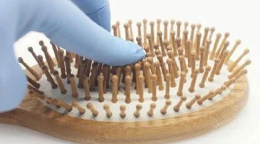 Biodegradable Bamboo Bristle Detangling Hair Brush, 9"
