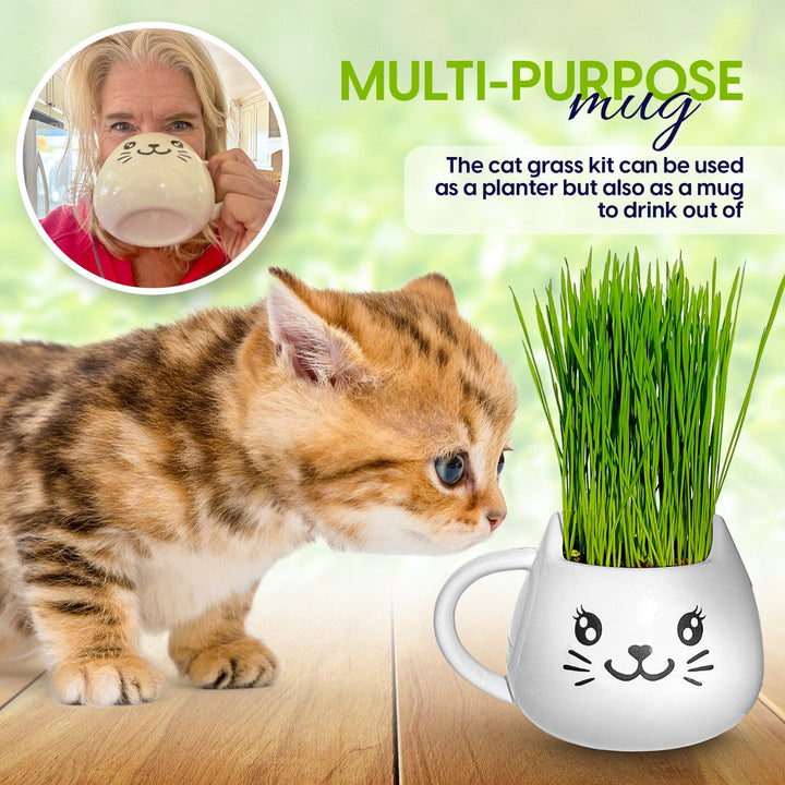 Organic Ceramic Wheat Grass Growing Kit
