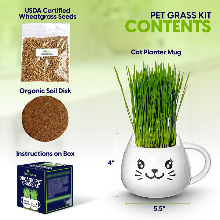 Organic Ceramic Wheat Grass Growing Kit