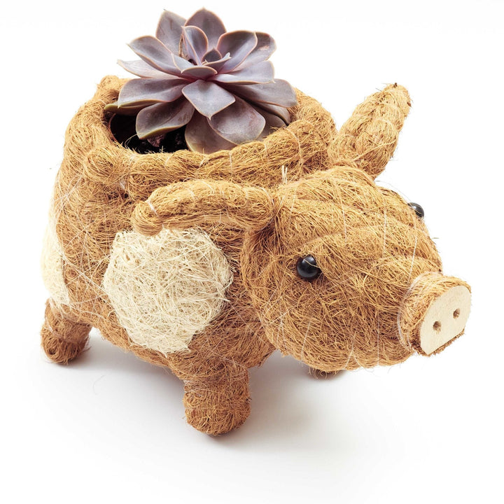Handcrafted Coco Coir Pig Planter, Natural