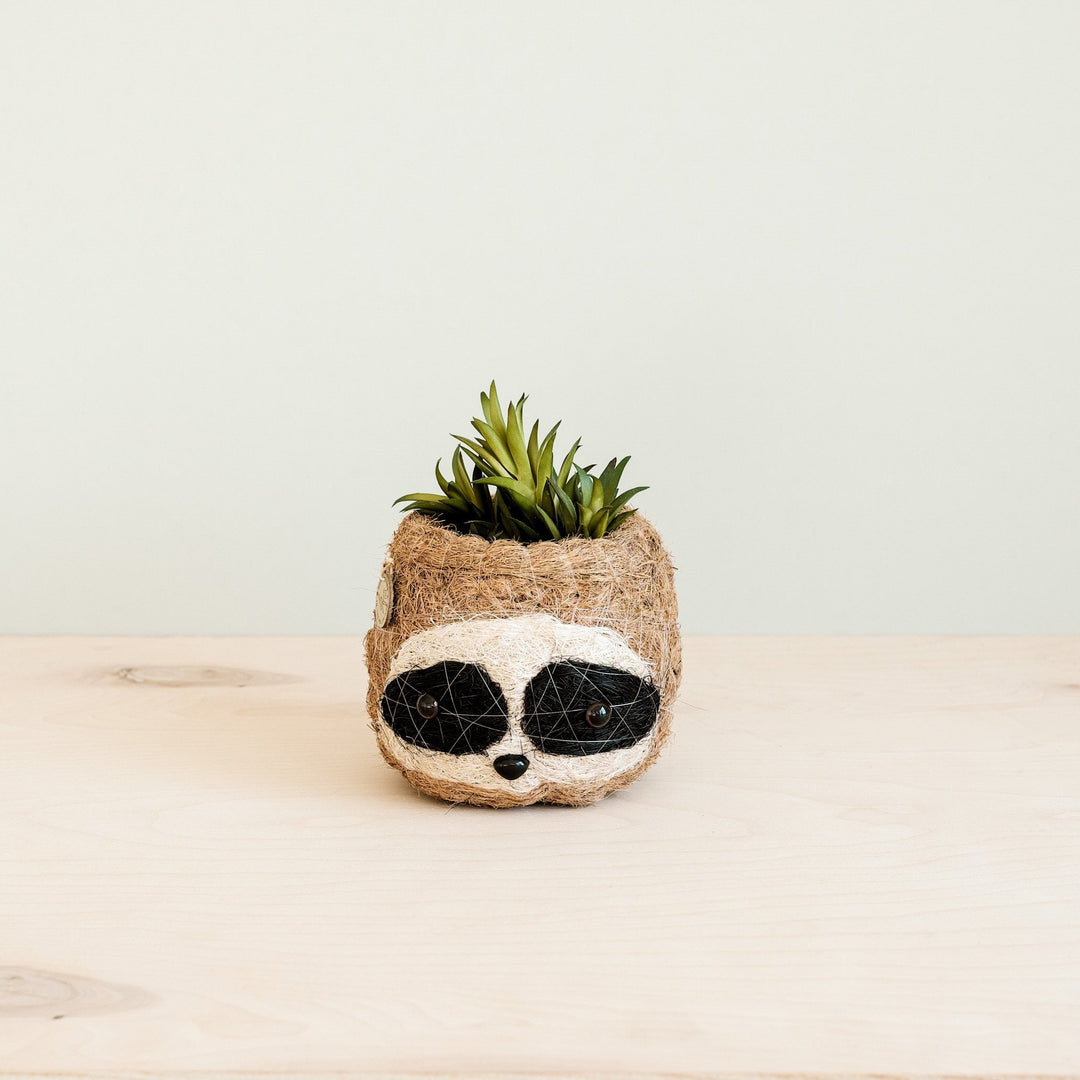 Handcrafted Coco Coir Sloth Planter, Natural