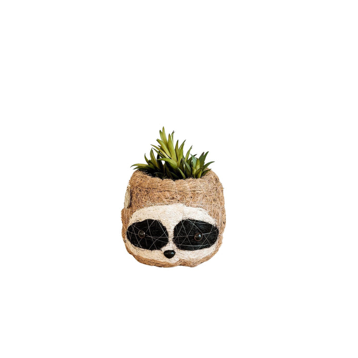 Handcrafted Coco Coir Sloth Planter, Natural