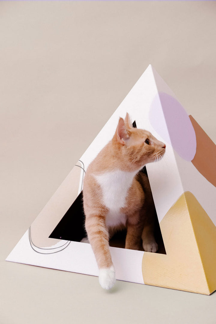 Biodegradable Recycled Cardboard Cat Pyramid Cave