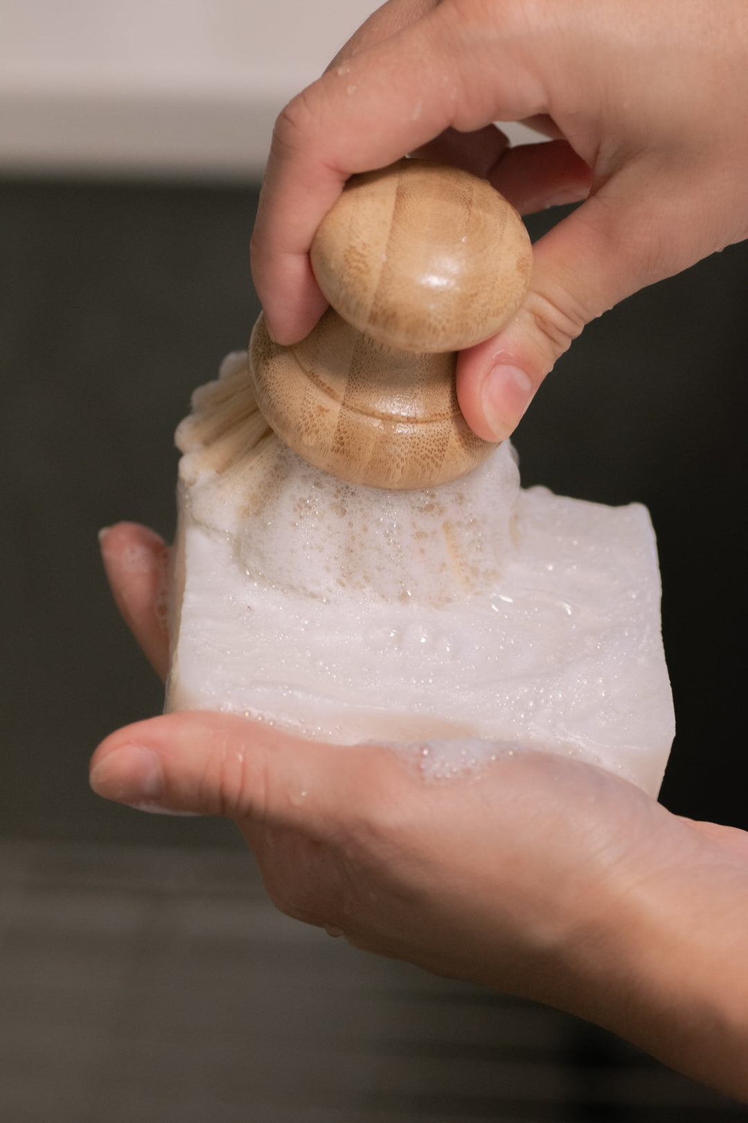 Biodegradable Fragrance-Free Dish Soap Bar, 22.5 oz.
