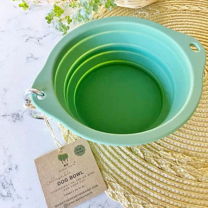 Collapsible Food-Grade Silicone Dog Bowl, 24 oz.