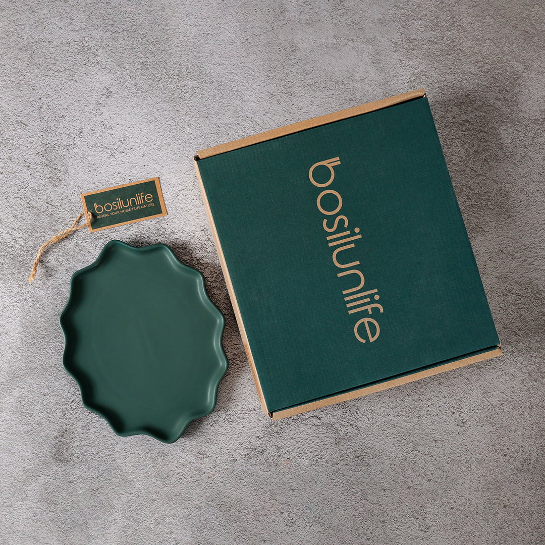 Recycled Ceramic Dinner Plates, 4 Ct.