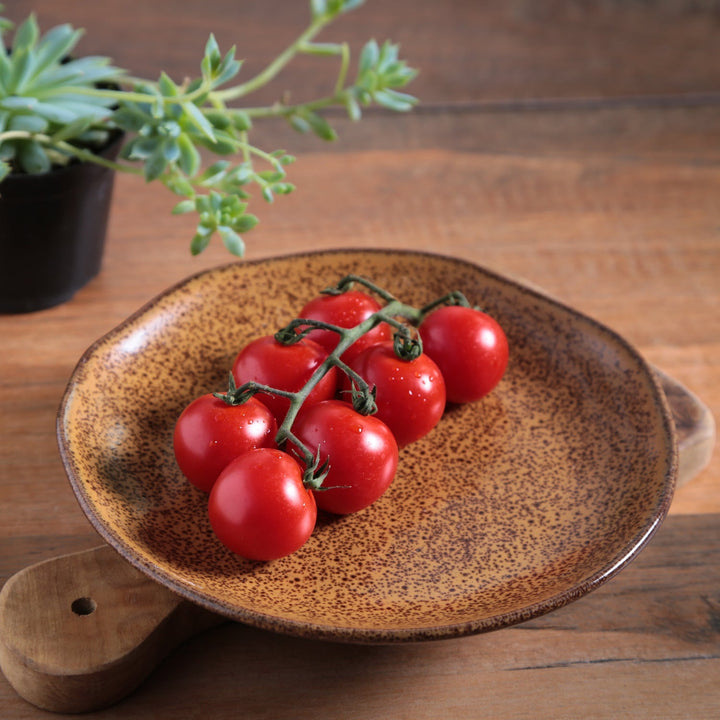 Non-Toxic Porcelain Dessert Dinnerware Set, 6 Ct.