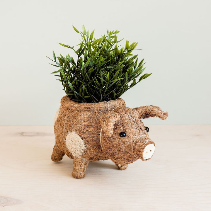 Handcrafted Coco Coir Pig Planter, Natural