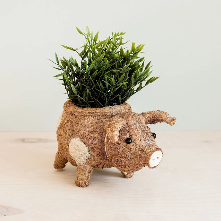 Coco Coir Pig Planter Natural