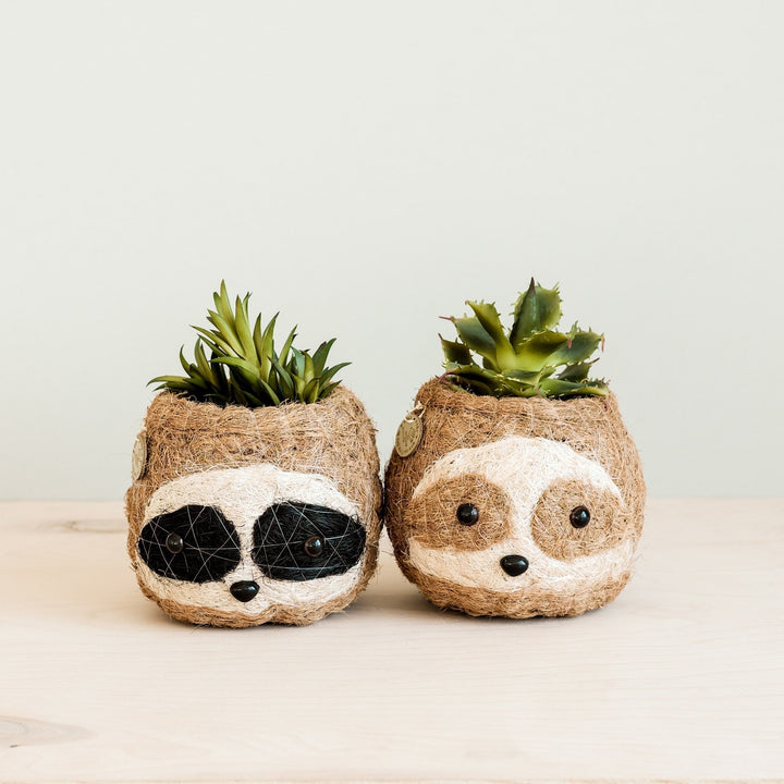 Handcrafted Coco Coir Sloth Planter, Natural