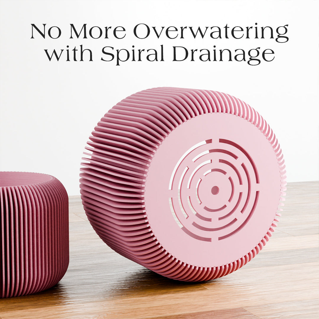 Plant-Based Ribbed Orbis Decor Planter, Multi-Size