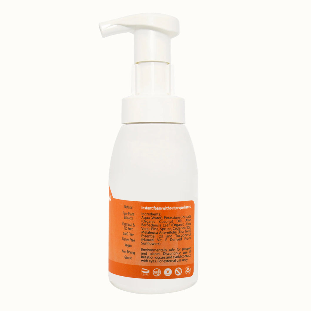 Vegan Foaming Pumpkin Spice Hand Soap, Holiday