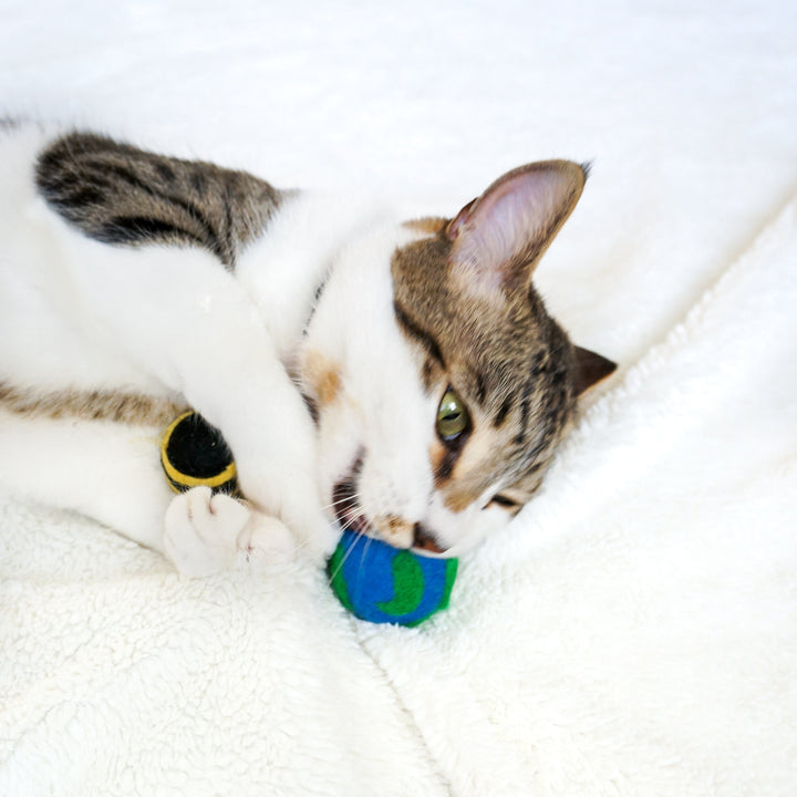 Handcrafted Wool Felt Cat Toy Set, 3 Ct.