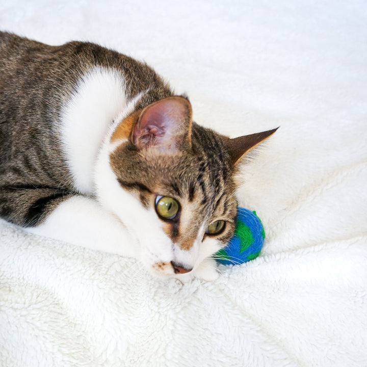 Handcrafted Wool Felt Cat Toy Set, 3 Ct.