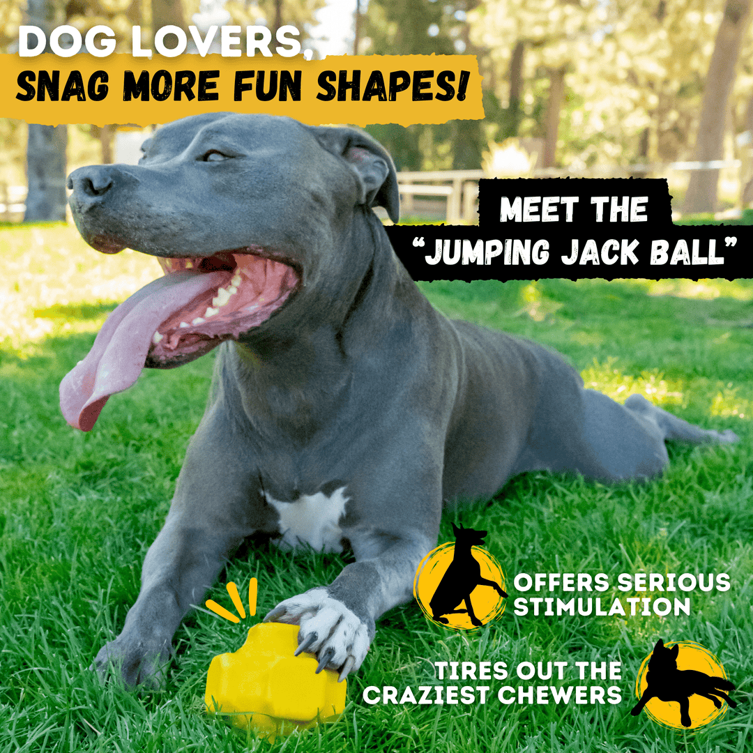 Giant Halo Dog Toy Ball