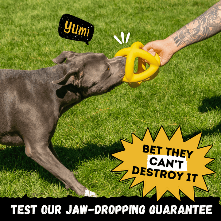 Giant Halo Dog Toy Ball