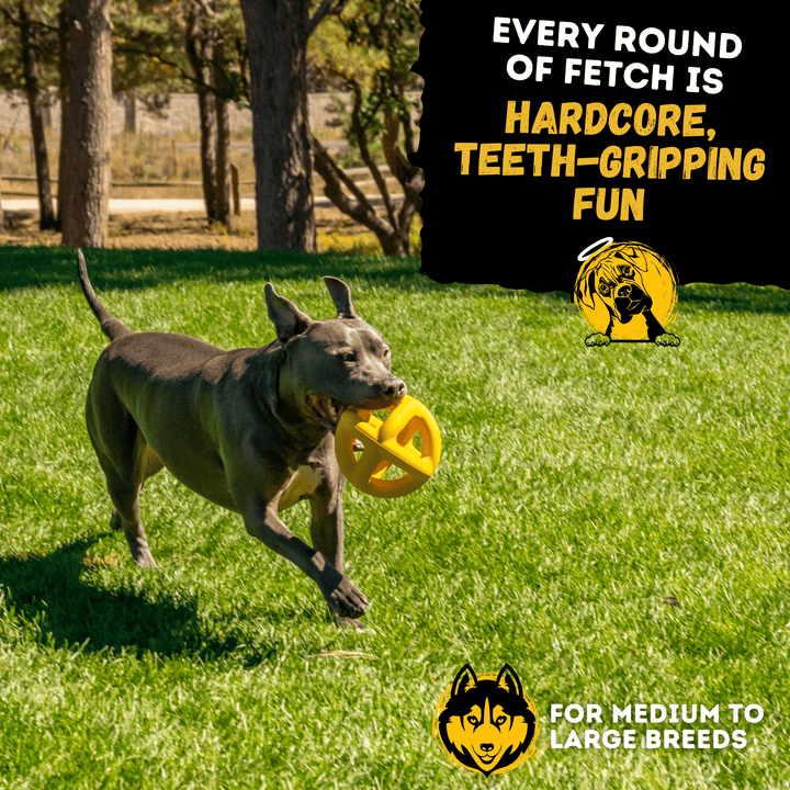 Giant Halo Dog Toy Ball