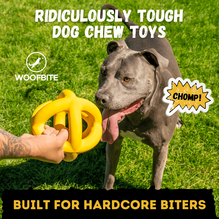 Giant Halo Dog Toy Ball
