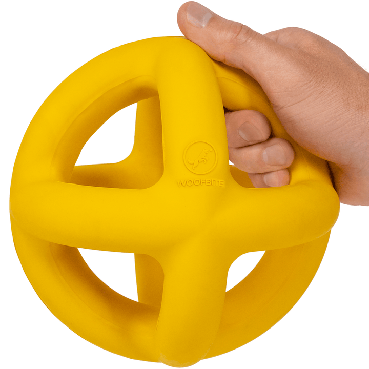 Giant Halo Dog Toy Ball