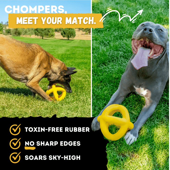 Giant Halo Dog Toy Ball