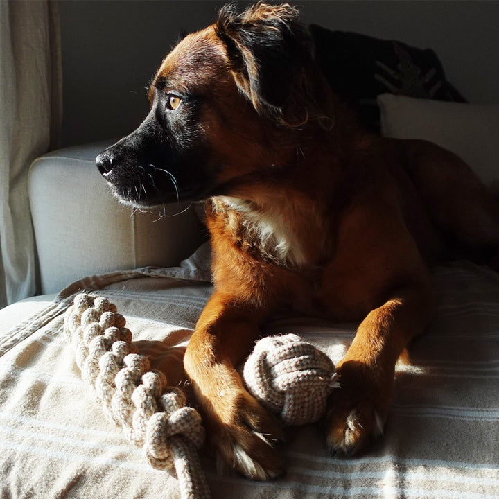 Organic Hemp Rope Ball Pet Toy