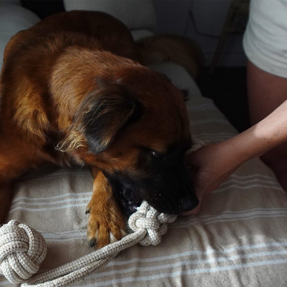 Handcrafted Organic Hemp Rope Dog Tug Toy